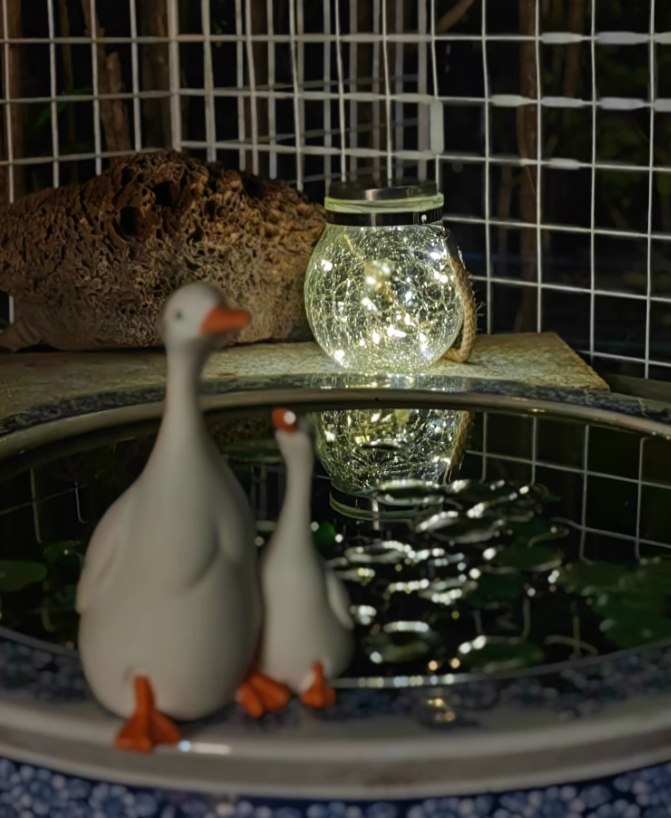 Encountering a Poetic Night! Ambience Small Light Illuminates a Micro Romantic Corner